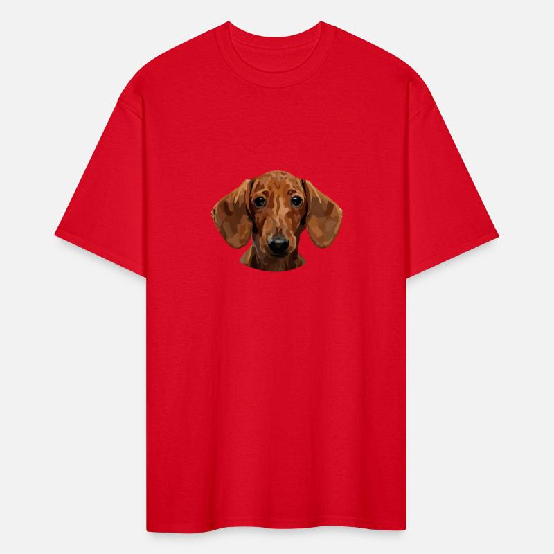 Daushund Dog