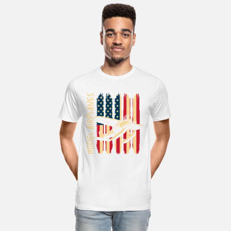 Model Airplane Model Flying Aerobatics