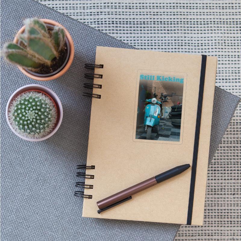 Still Kicking Vintage Ride