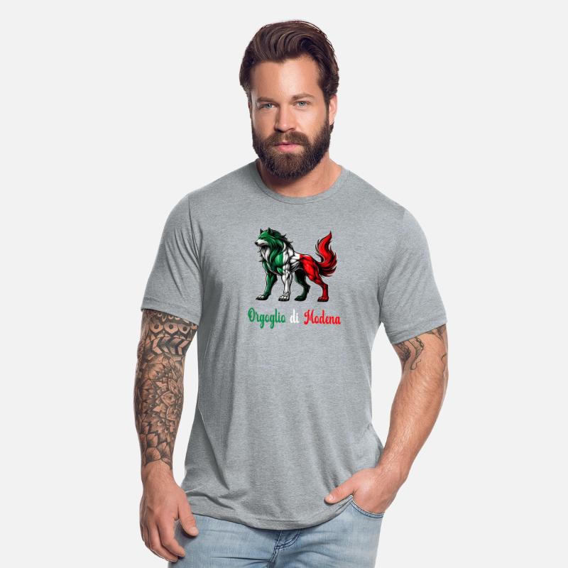 The pride of Modena Italy flag