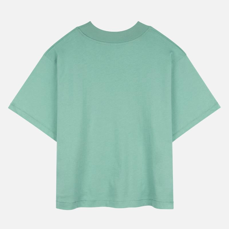 Nope Not Today Tomorrow's Not Looking Good Either