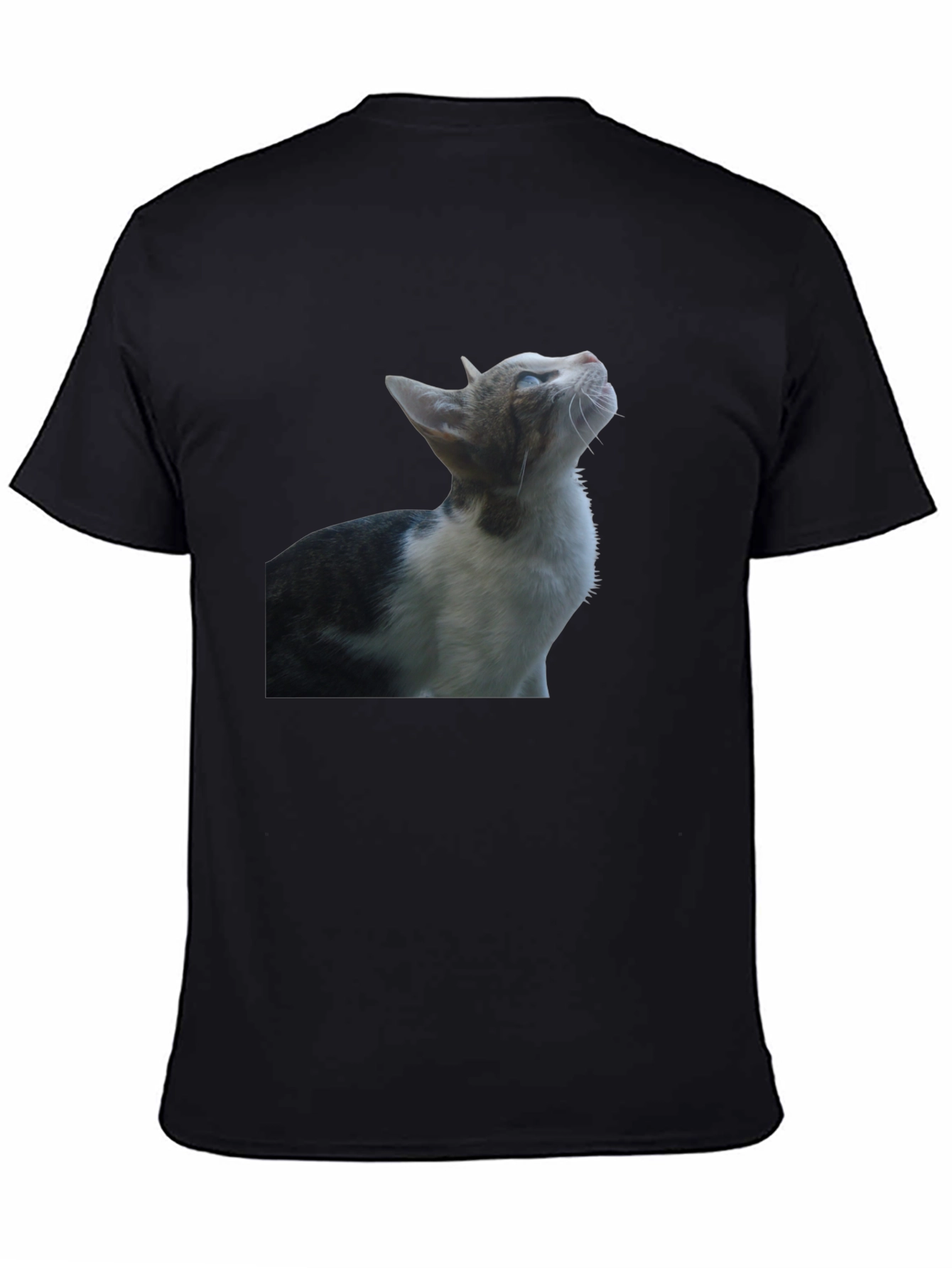 Cat Graphic Black T-Shirt