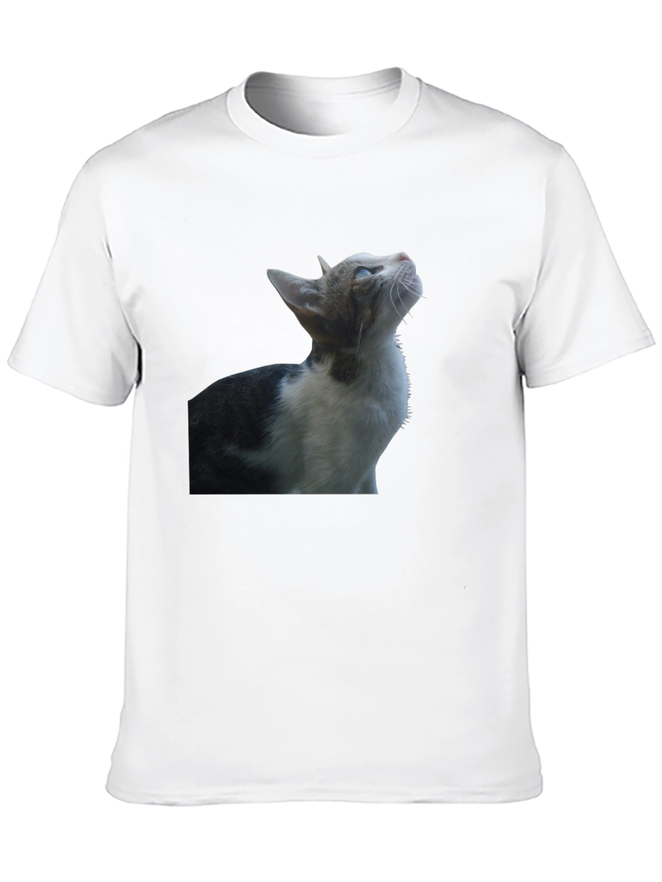 Cat Graphic Black T-Shirt