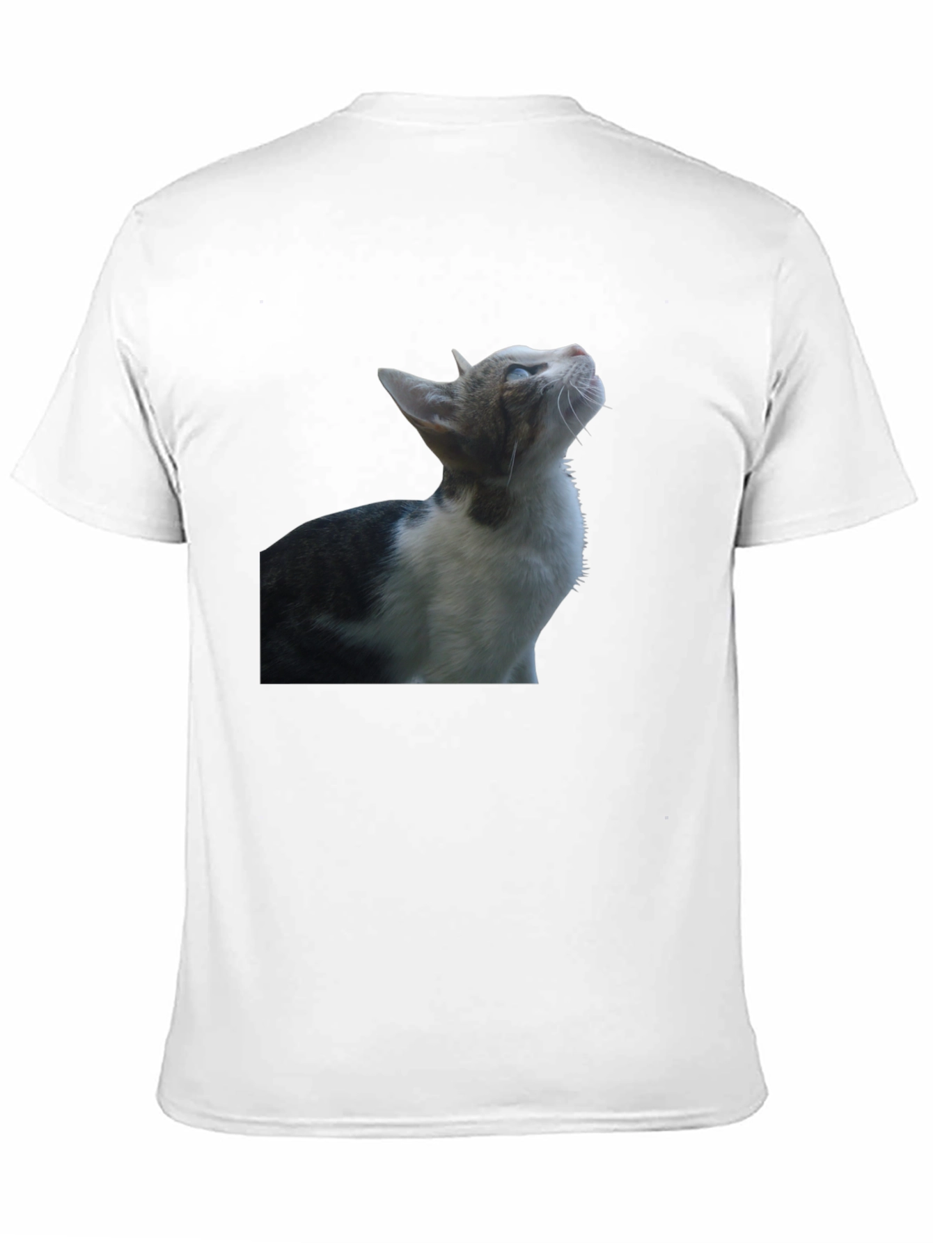 Cat Graphic Black T-Shirt