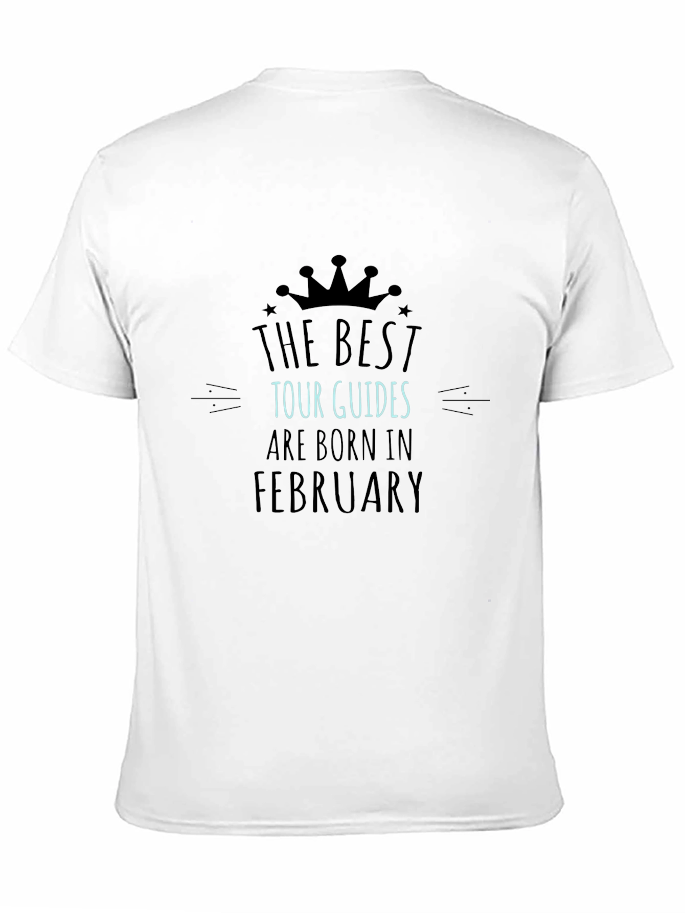 Best Tour Guides February Birthday T-Shirt