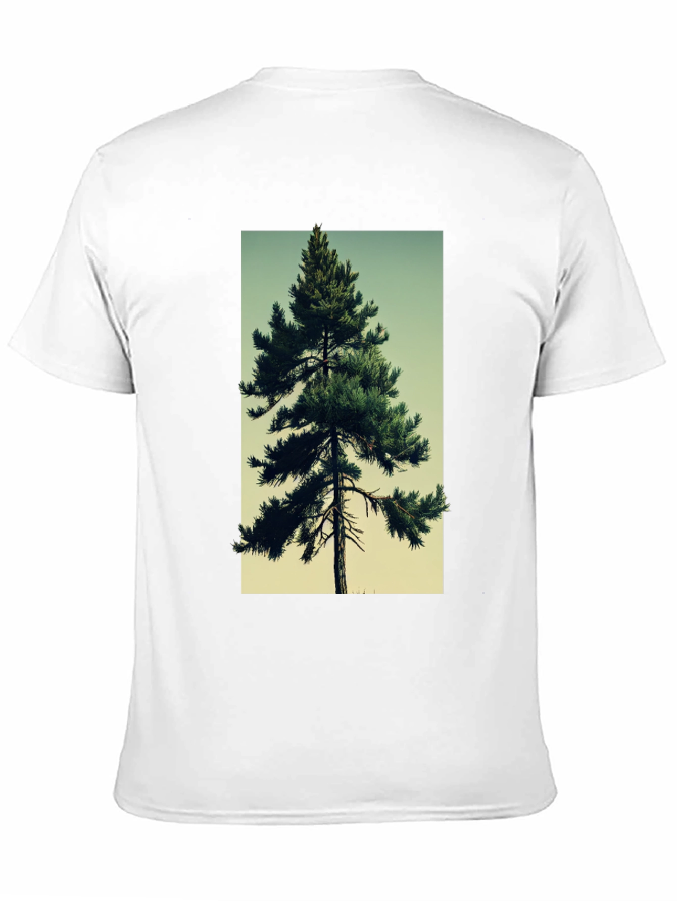 Evergreen Tree Graphic Tee - Nature Lovers T-Shirt
