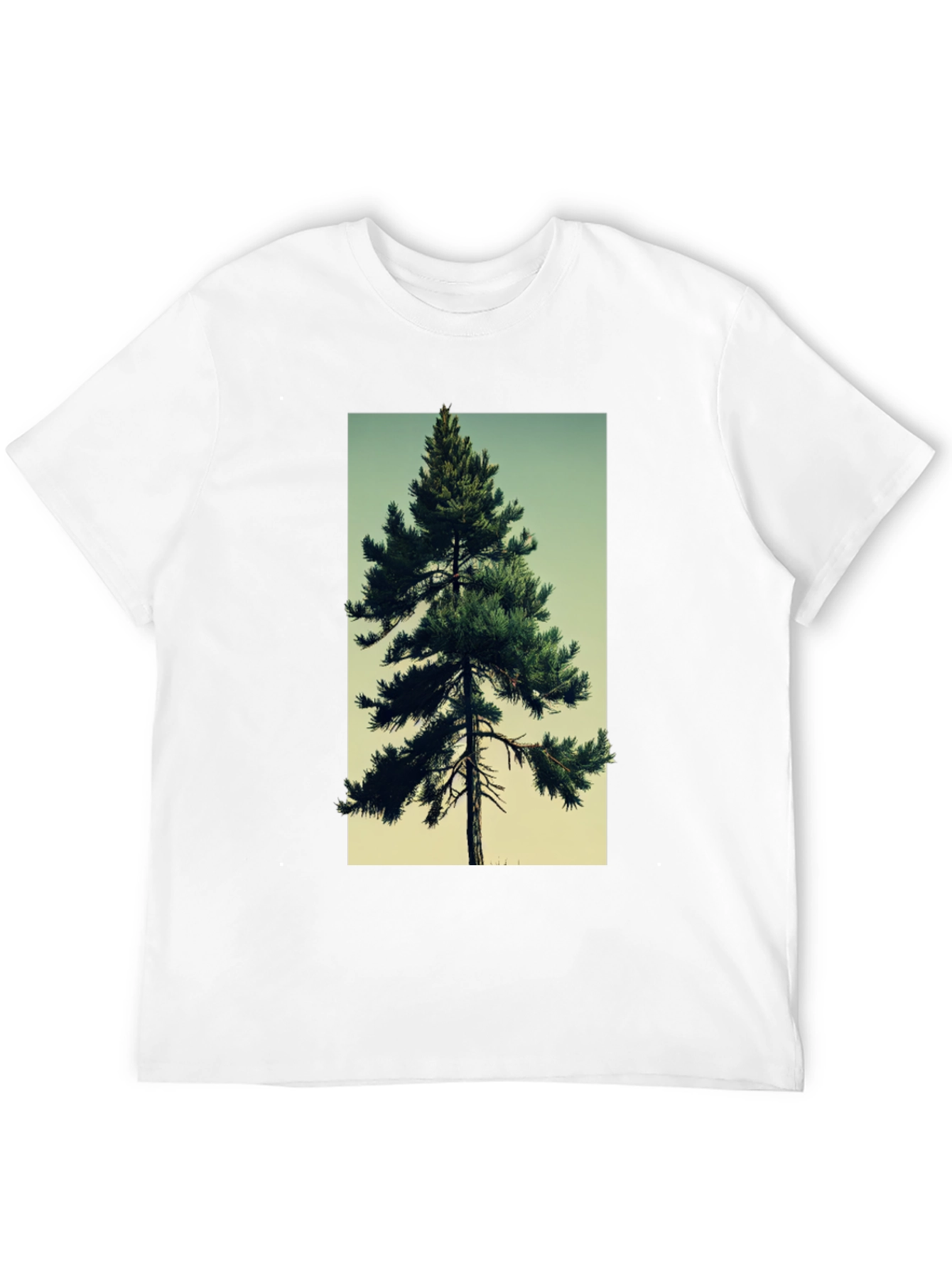 Evergreen Tree Graphic Tee - Nature Lovers T-Shirt