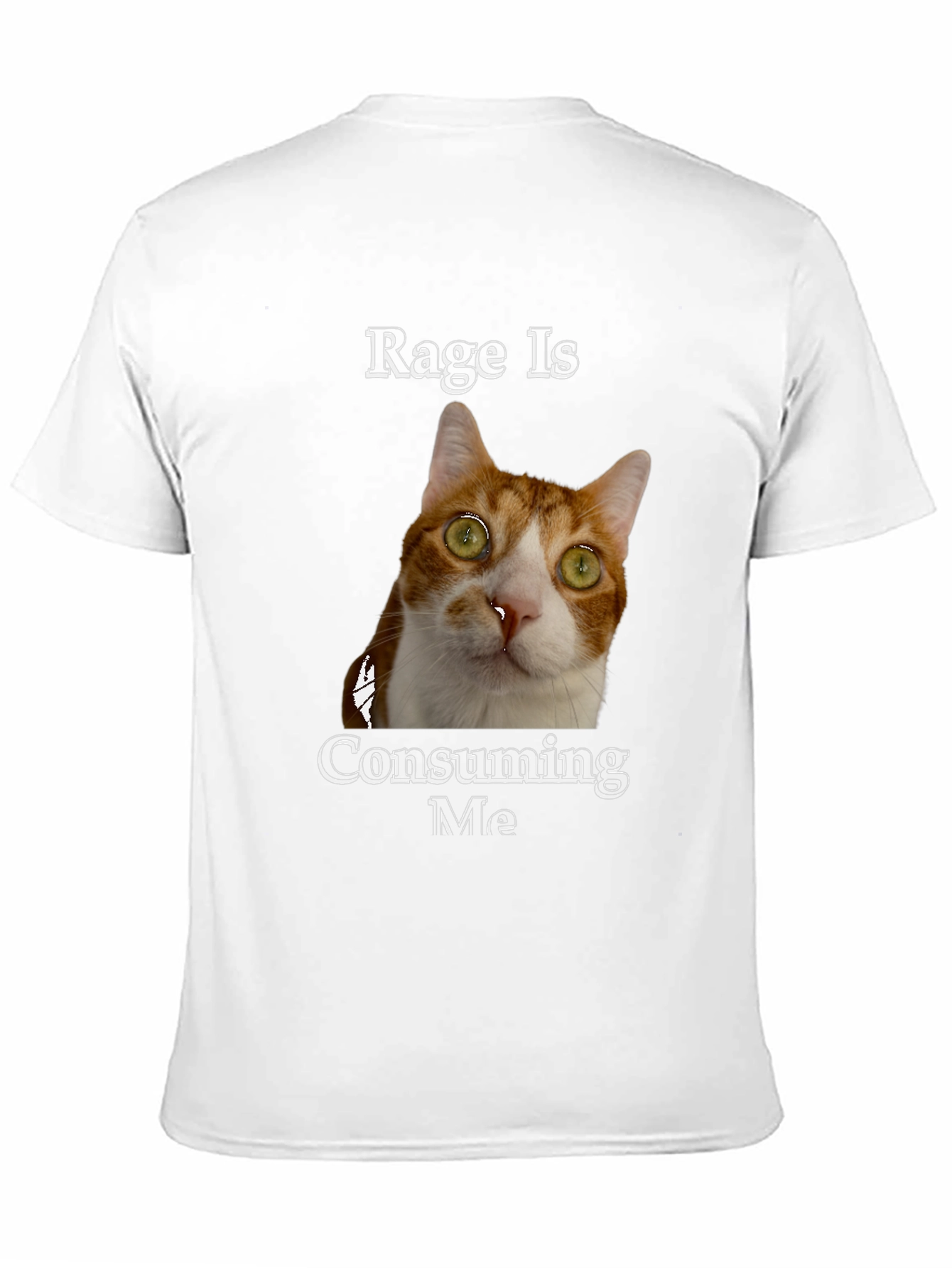 Rage Is Consuming Me Cat T-Shirt