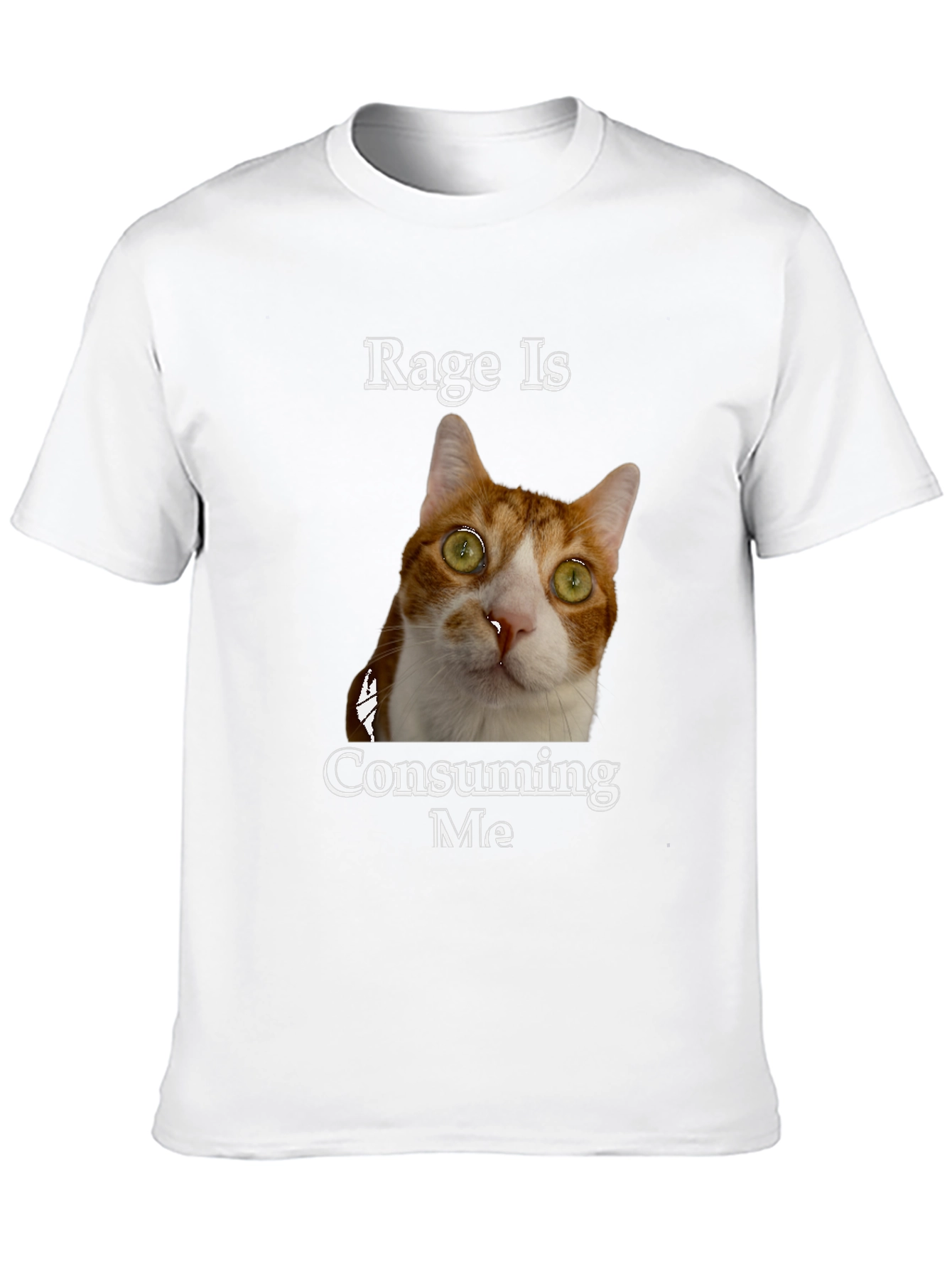 Rage Is Consuming Me Cat T-Shirt