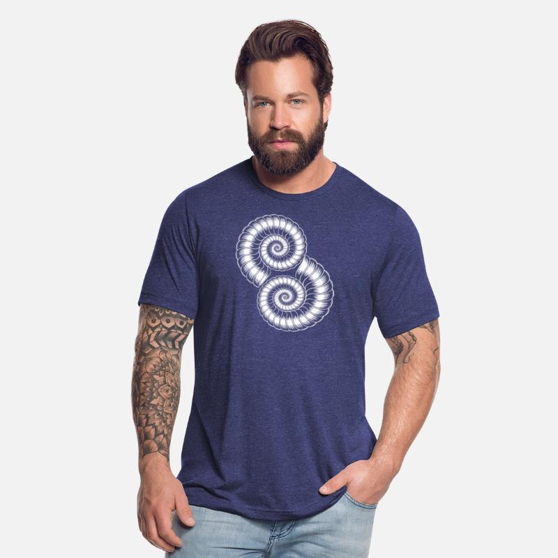 Ammonites Fossils Prehistory