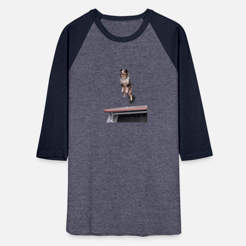 Australian Shepherd Dock Diving Dog Jumping