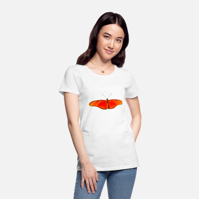 butterfly schmetterlinge insect insekten animal ti