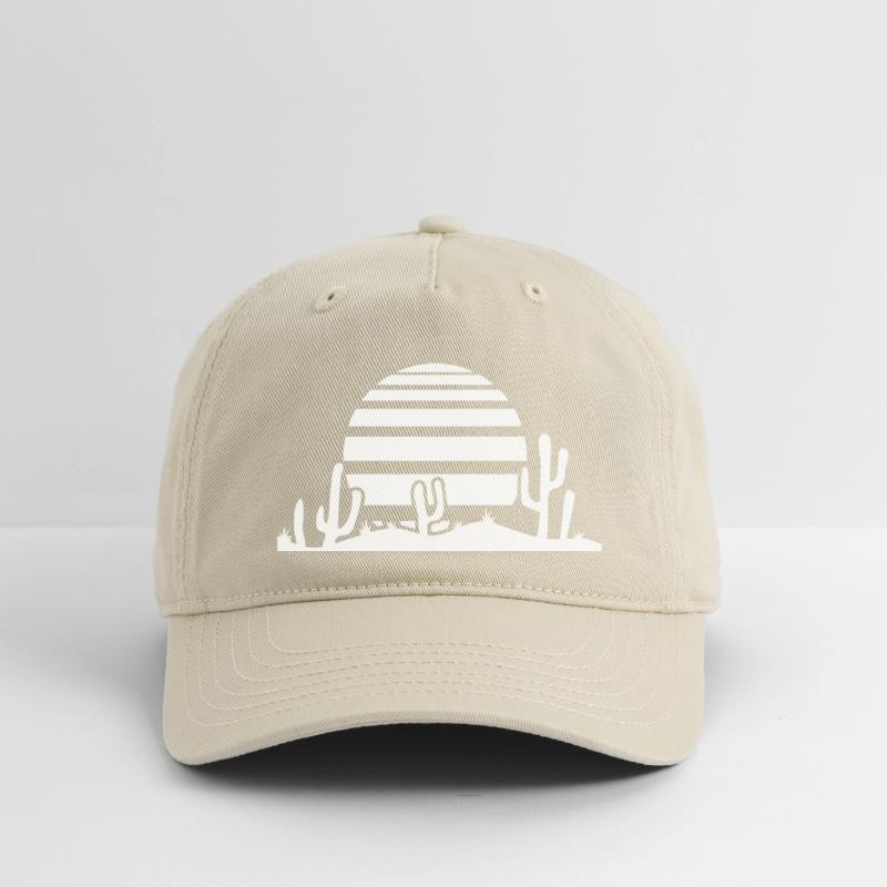 Cactus Desert Sunset Evening Sun Night Many Cacti