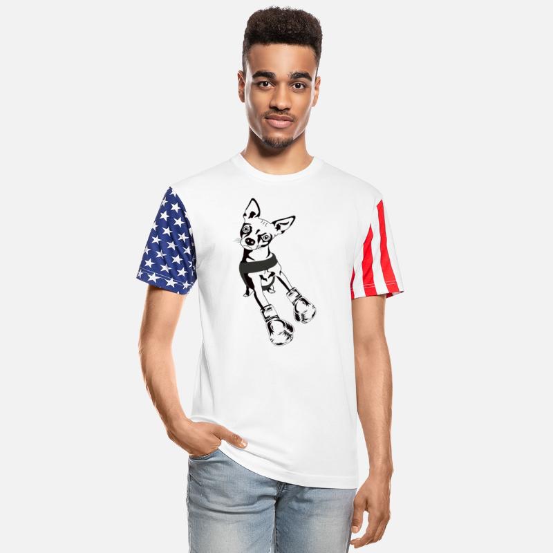 Chihuahua Boxing dog