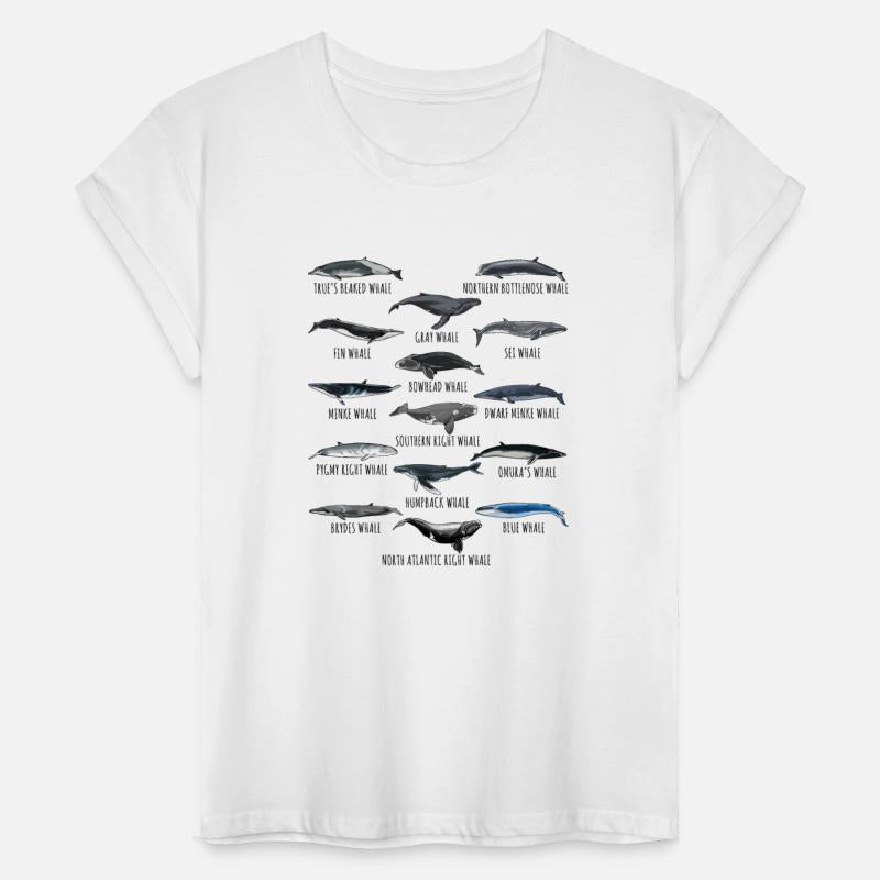 Different Whale Species Biology Types Of Whales