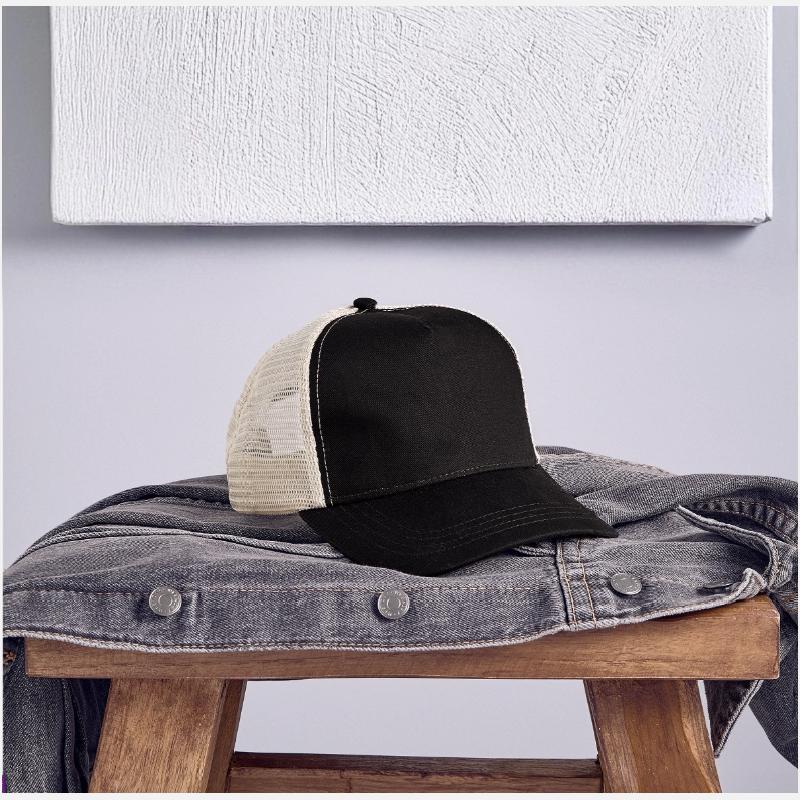 Dolphin Picture Art 0027932