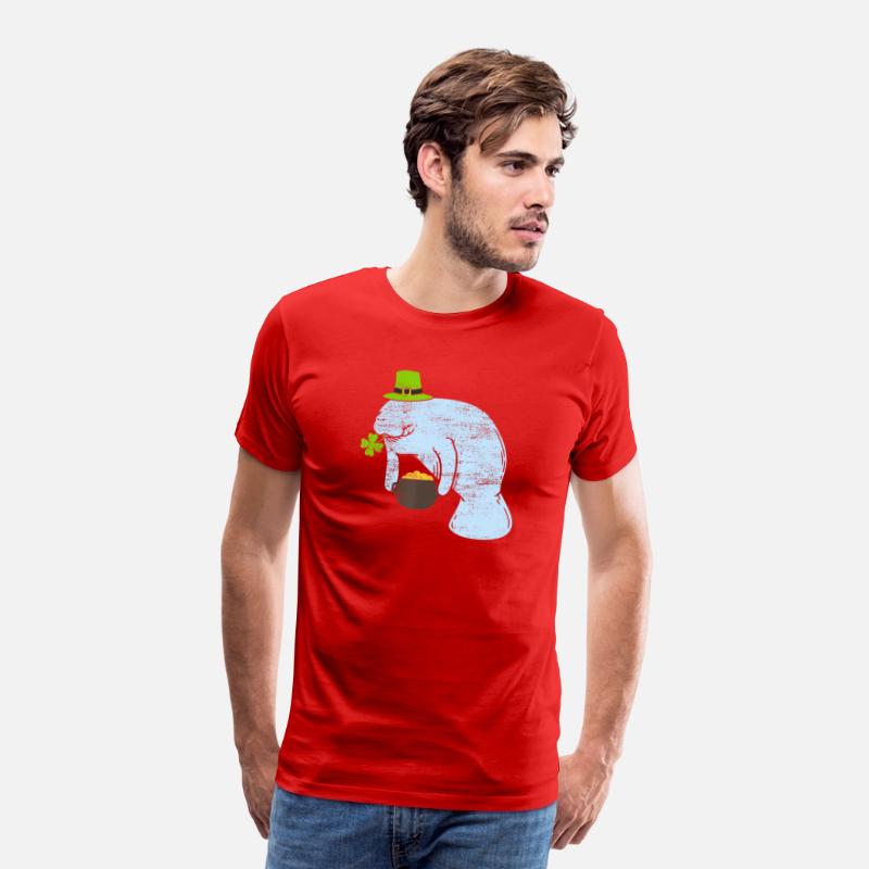 Manatee St Patricks Day