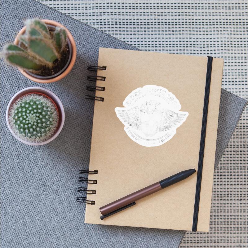 Rider Since 1953 - 72 Years of Open Roads &