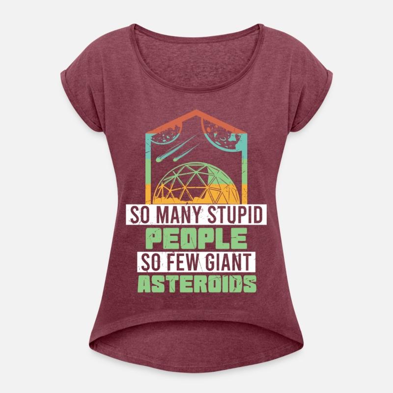 So Many Stupid People So Few Asteroids