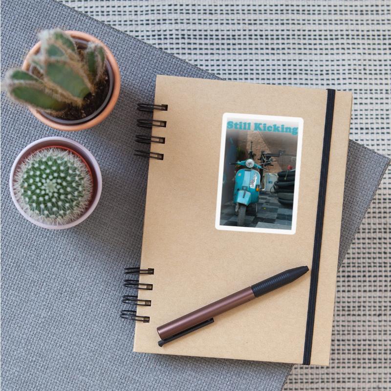 Still Kicking Vintage Ride