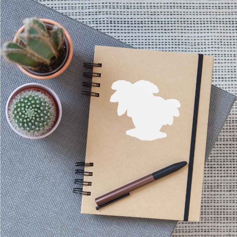 Surfing Surfboard Surfer Water Sport Palms Sun