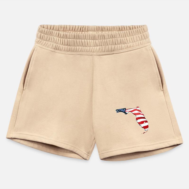 USA Flag in Florida State Map